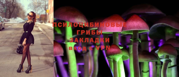 мет Арсеньев