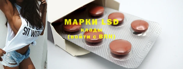 ПСИЛОЦИБИНОВЫЕ ГРИБЫ Аркадак