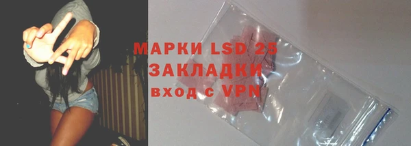 ПСИЛОЦИБИНОВЫЕ ГРИБЫ Аркадак
