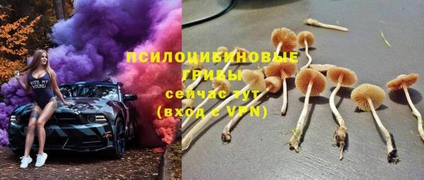 ПСИЛОЦИБИНОВЫЕ ГРИБЫ Аркадак