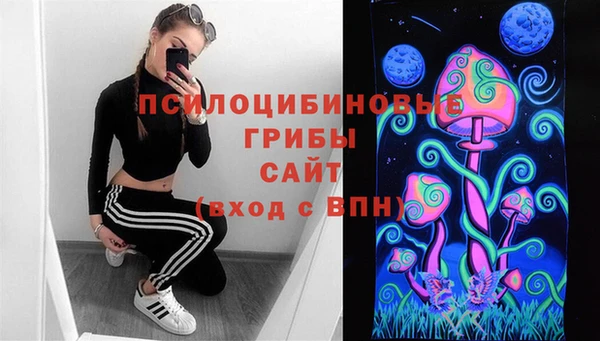 мет Арсеньев