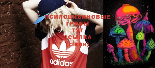 ПСИЛОЦИБИНОВЫЕ ГРИБЫ Аркадак